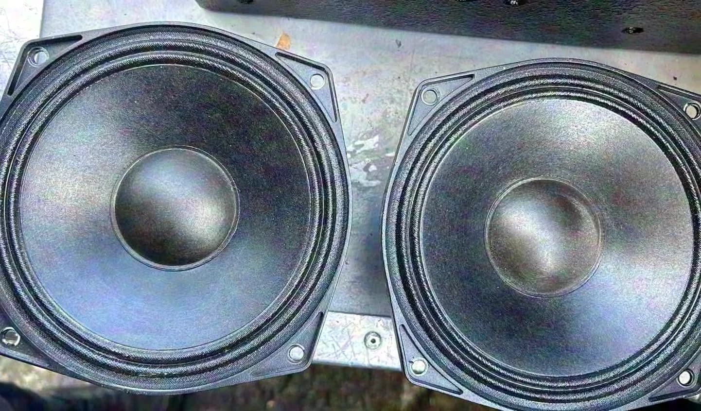 PHL AUDIO E171-16 Haut-parleur à cône