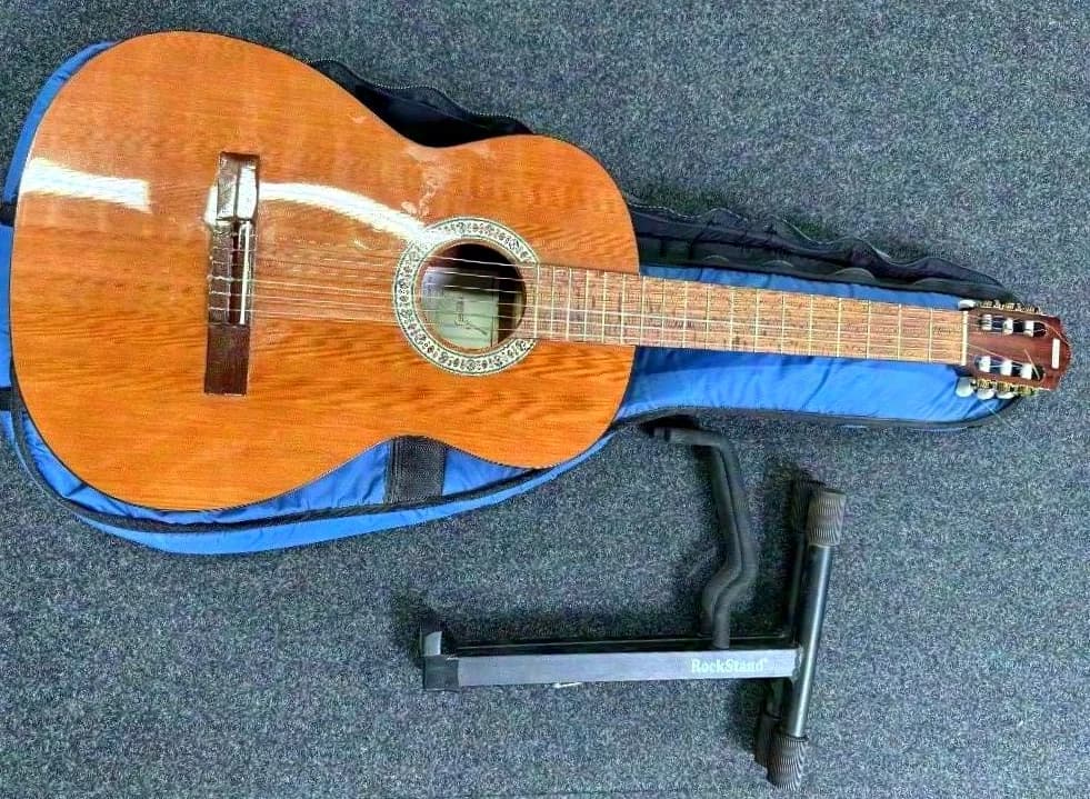 Guitare acoustique avec housse de transport rembourrée et support