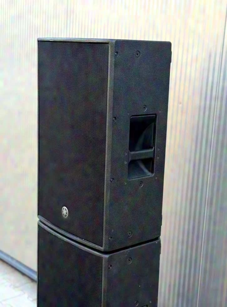 Yamaha DZR12-D avec Case
